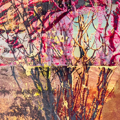 artwork collage mixed media desert plants joshua tree national park california